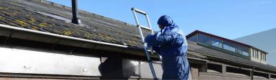 Wie gefährlich ist Asbest? – Risiken für Unternehmen & ihre Mitarbeiter